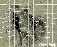 taemapv.gif (10359 bytes)
